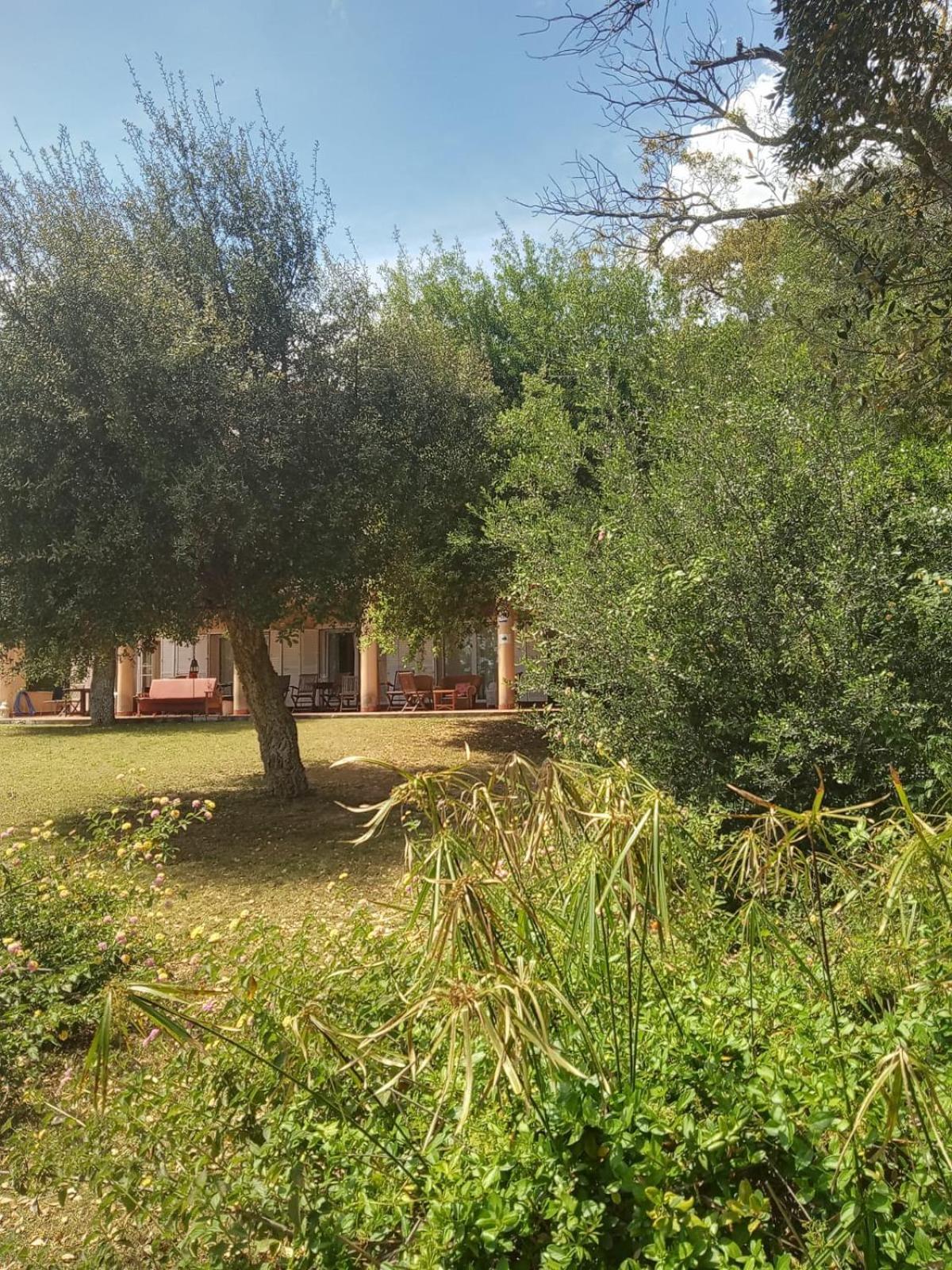 Sotogrande. Estancia Privada En Plena Naturaleza المظهر الخارجي الصورة