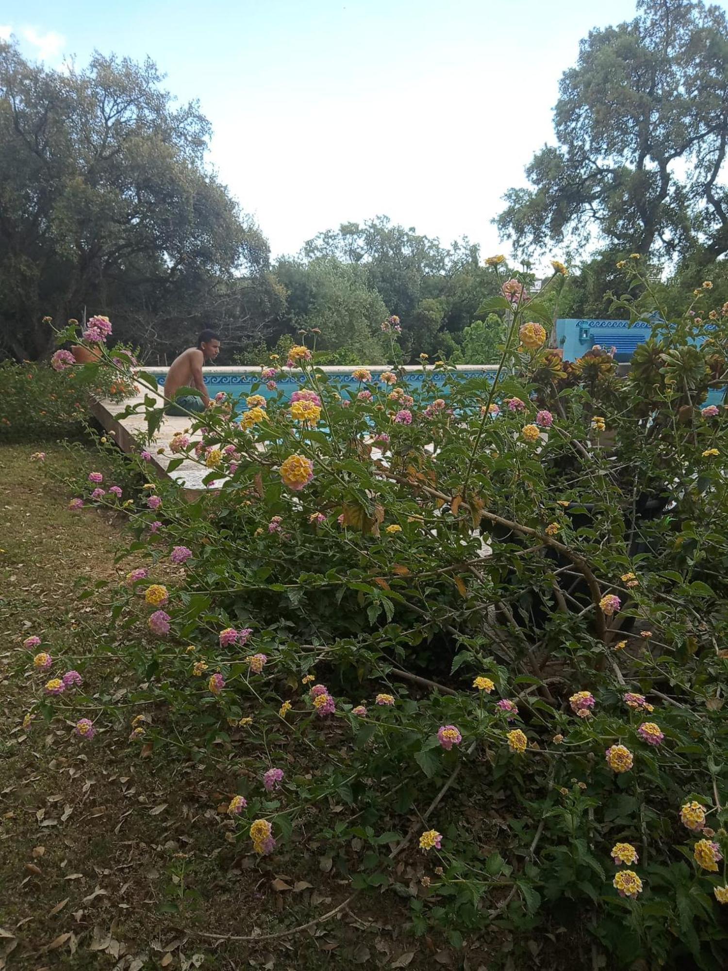Sotogrande. Estancia Privada En Plena Naturaleza المظهر الخارجي الصورة